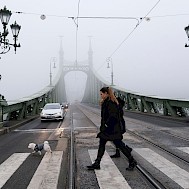Alexandros Michailidis / Shutterstock.com