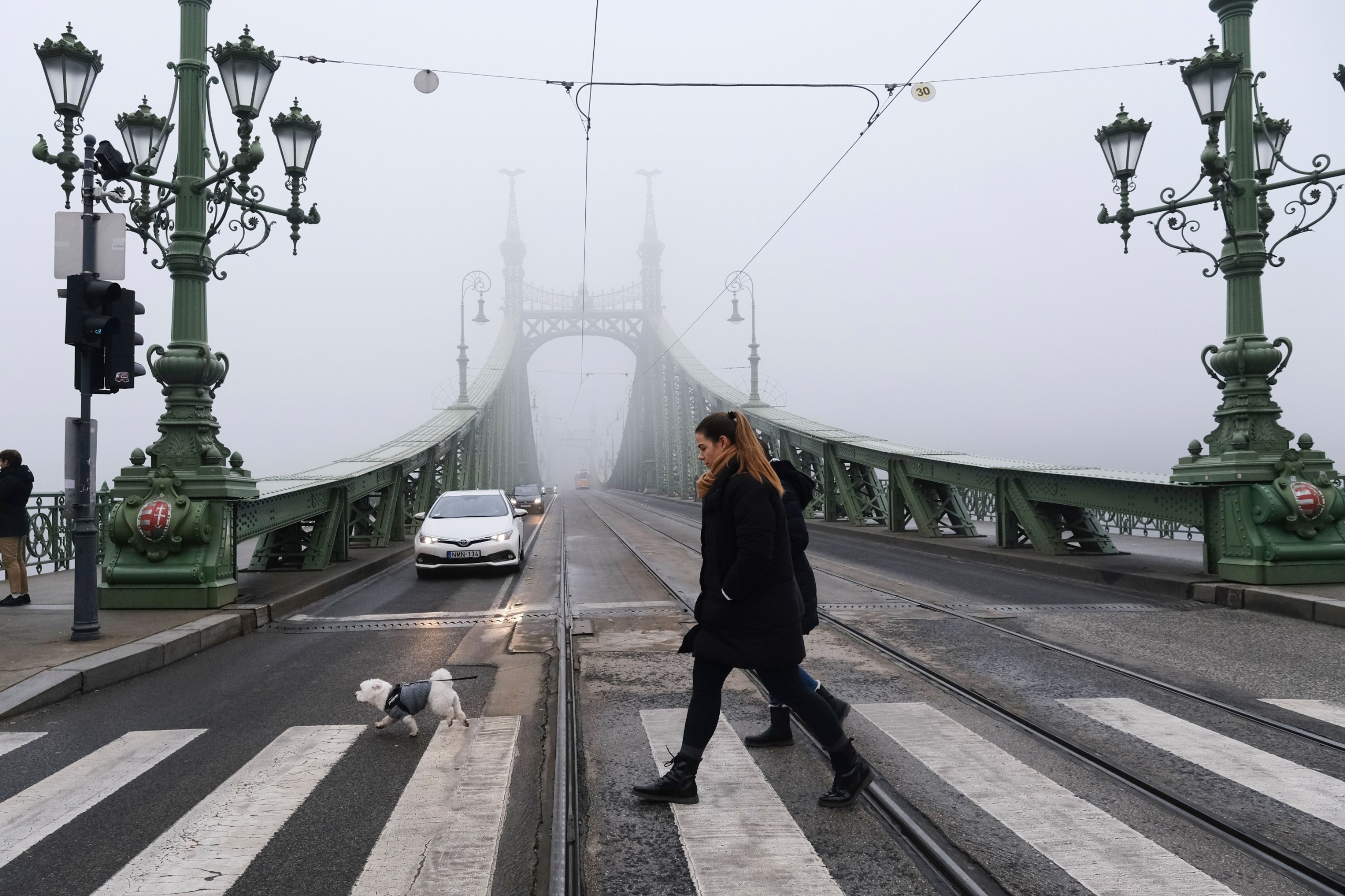 Alexandros Michailidis / Shutterstock.com