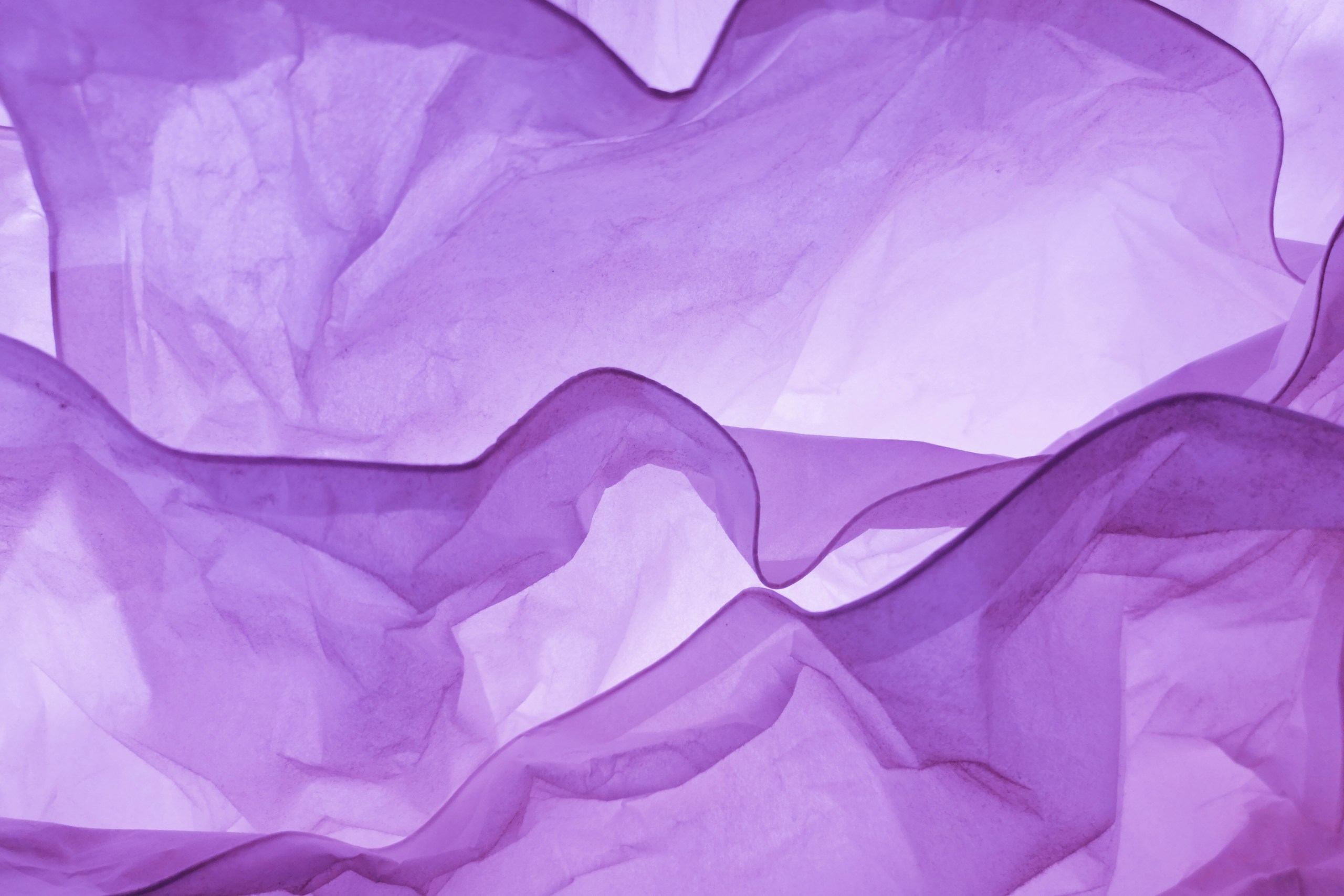 Daniele Levis Pelusi/Unsplash