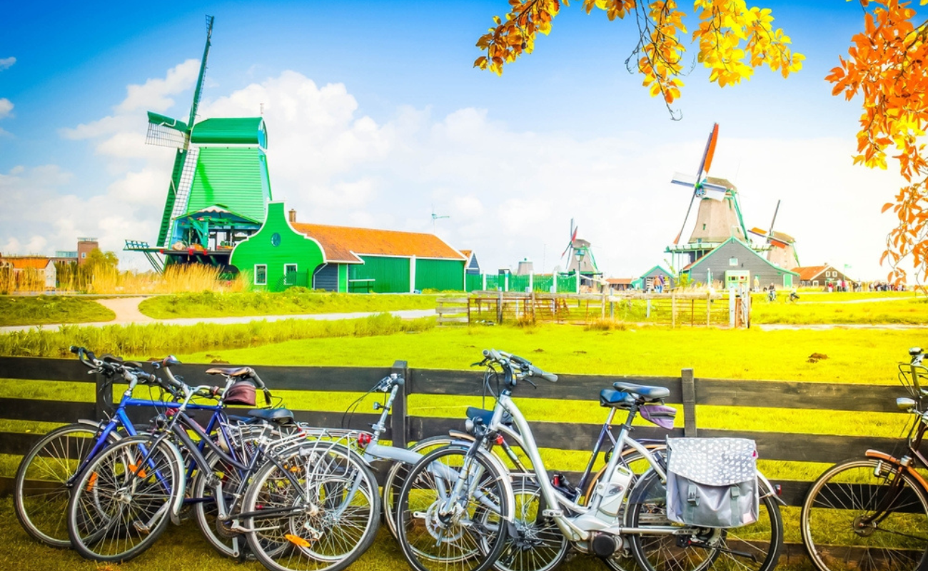 Neirfy/Shutterstock