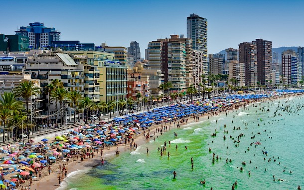 JoaoCachapa / Shutterstock