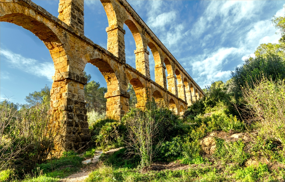 Colleen Ashley / Shutterstock