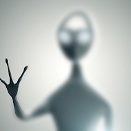 Rashevskyi Viacheslav/Shutterstock.com