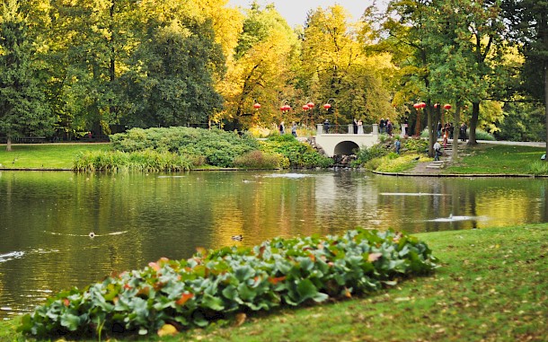 aldona_k/Shutterstock