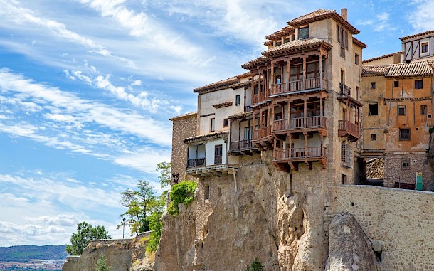 Roman Sigaev/Shutterstock