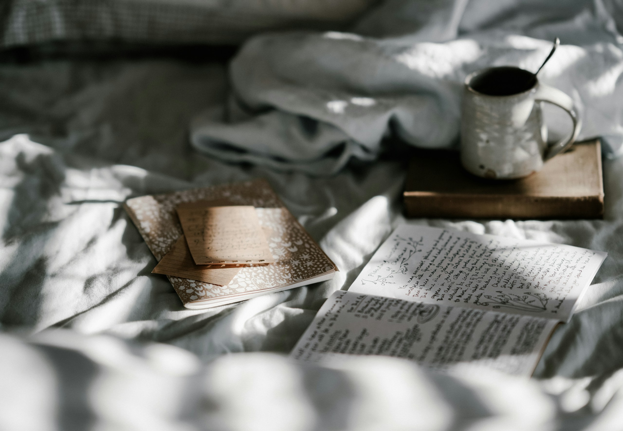 Annie Spratt/Unsplash