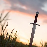 n_defender / Shutterstock