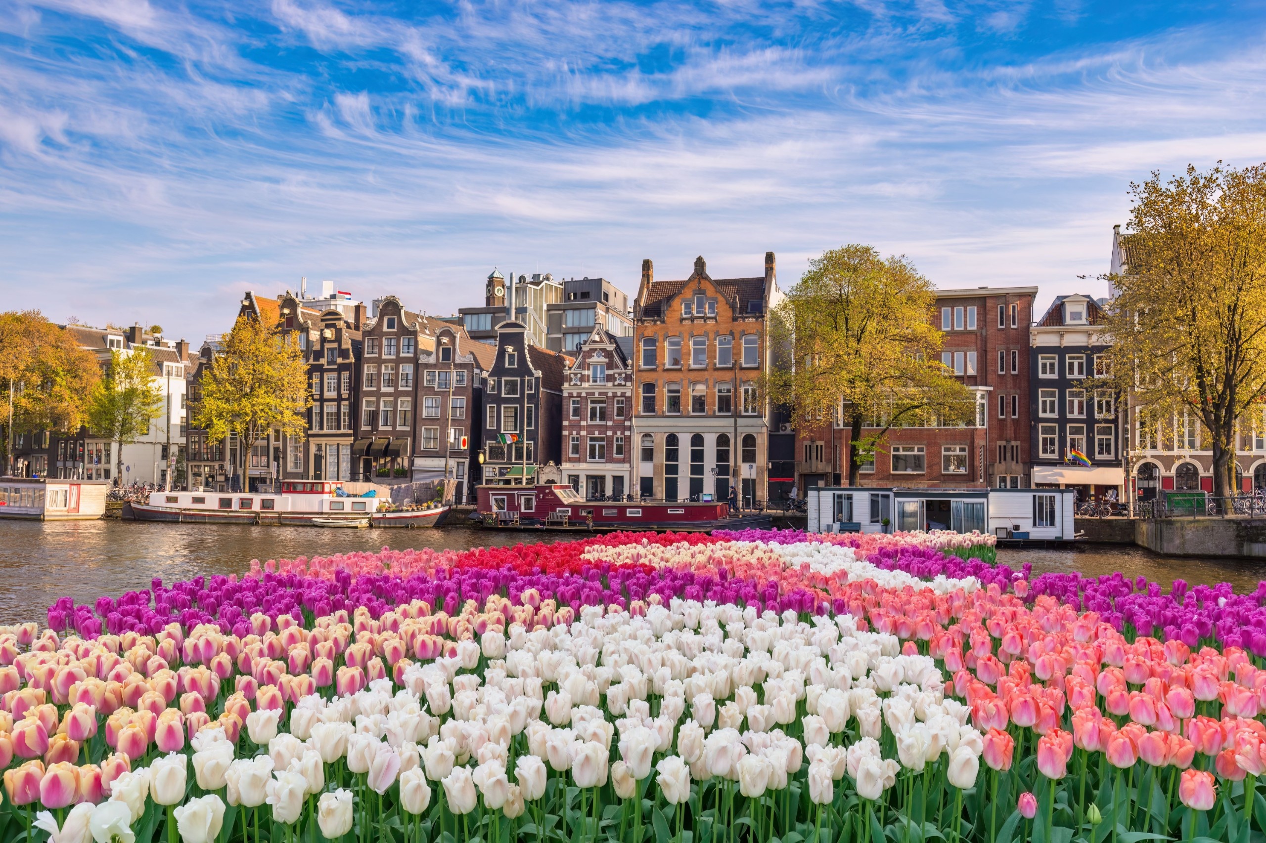 Noppasin Wongchum/Shutterstock.com