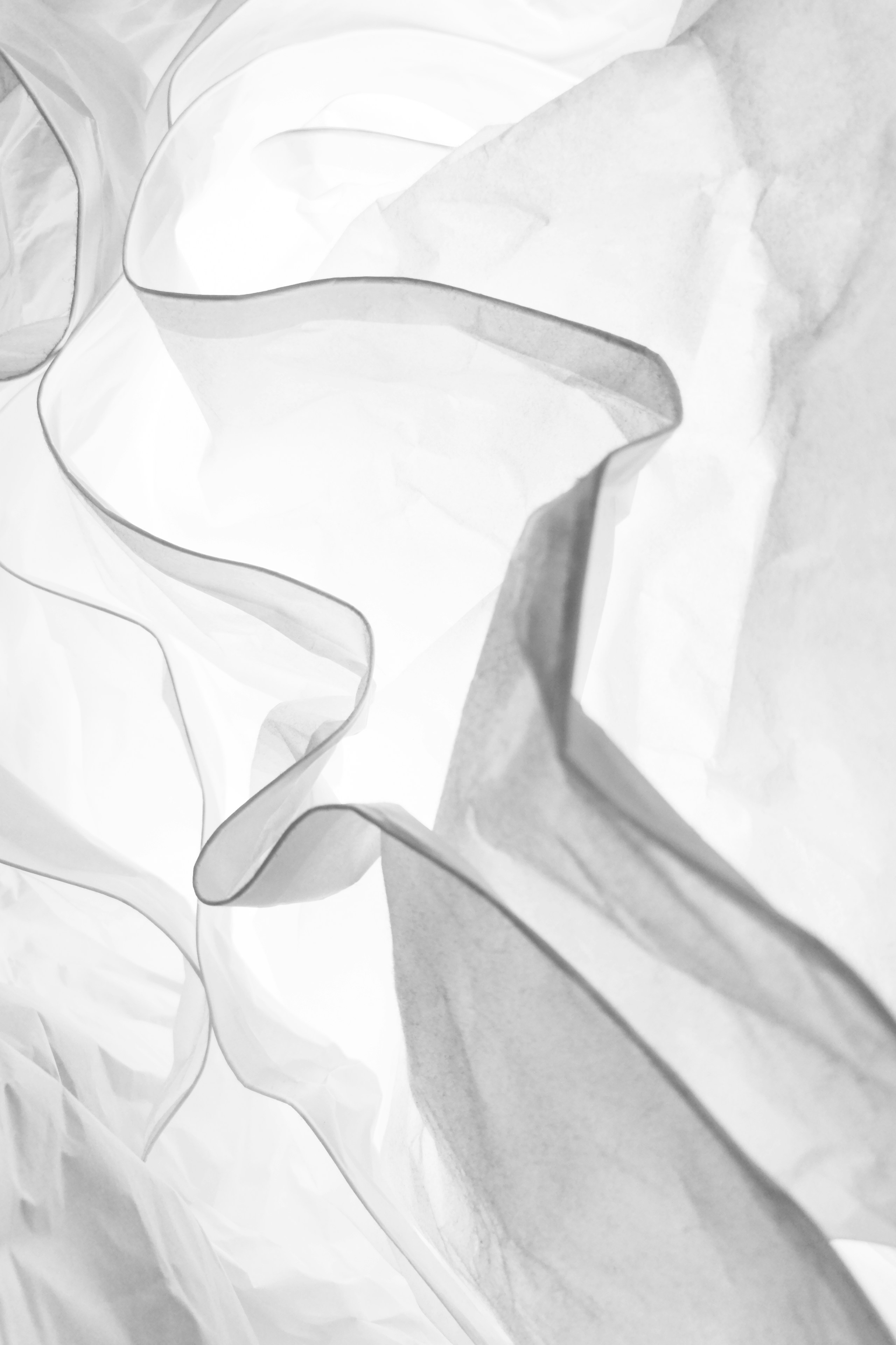Daniele Levis Pelusi / Unsplash