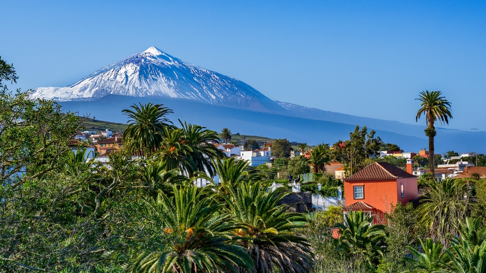 Michal Hamet / Shutterstock