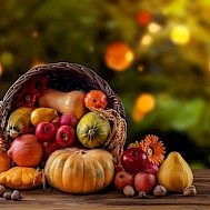 TSViPhoto/Shutterstock.com
