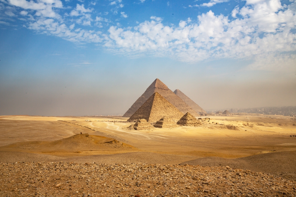 AnnaNel / Shutterstock