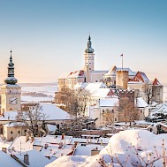 Tomas Stehlik/Shutterstock.com