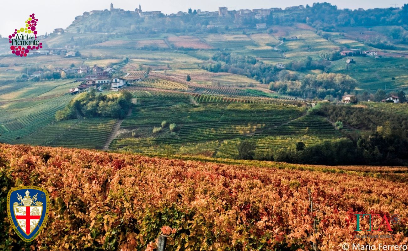 Piedmont Wine Consortium