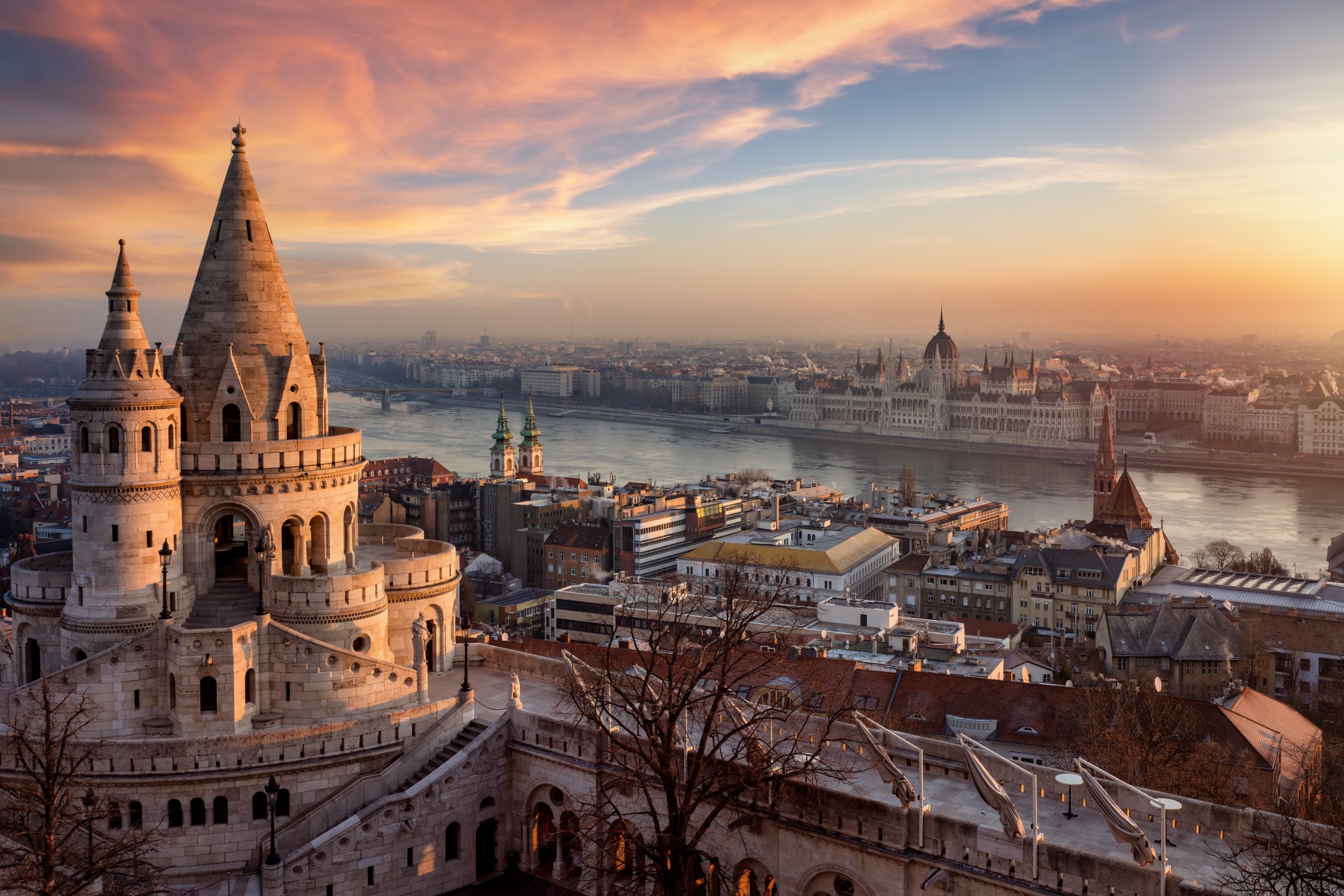 Sven Hansche/Shutterstock