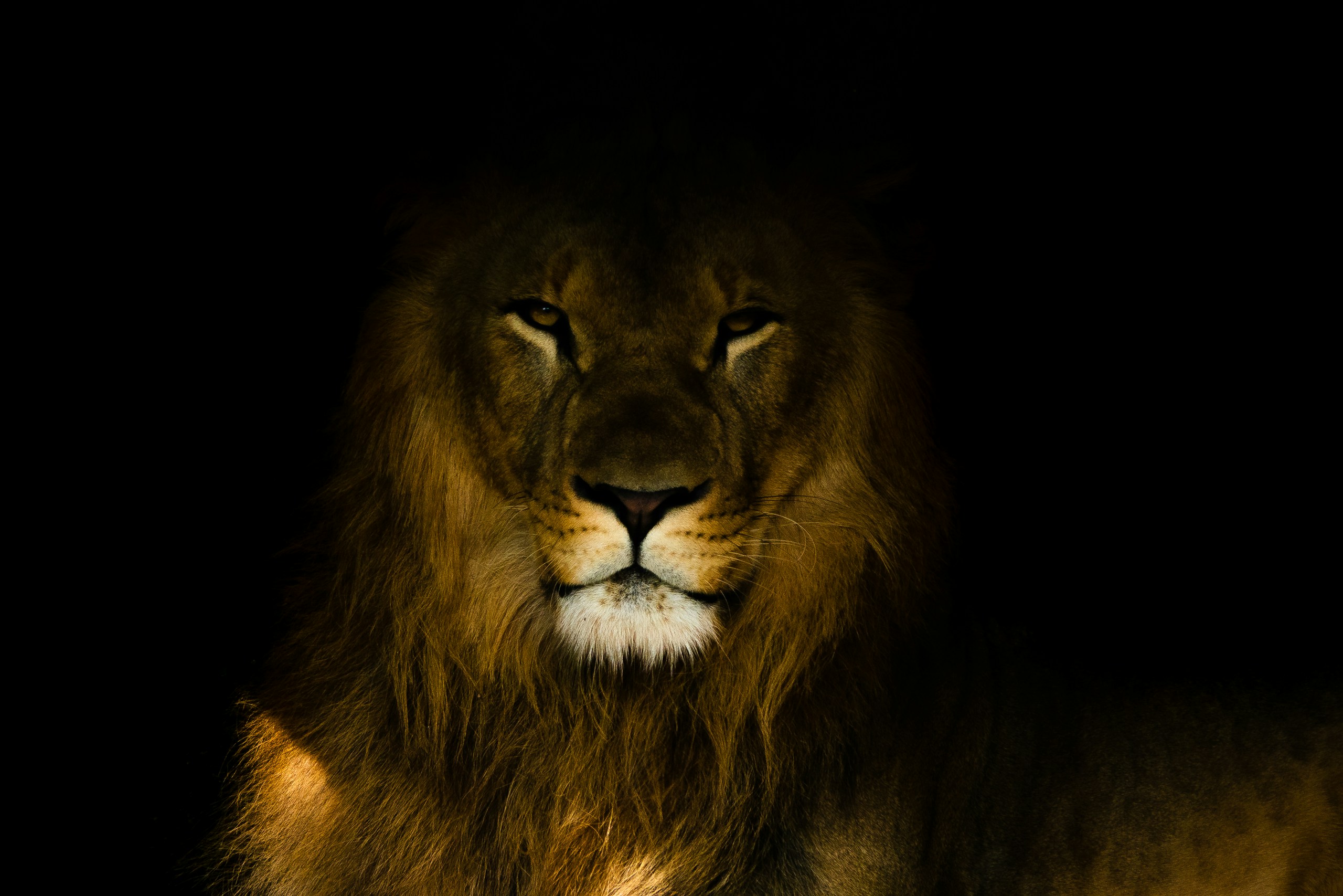 Renato / Unsplash