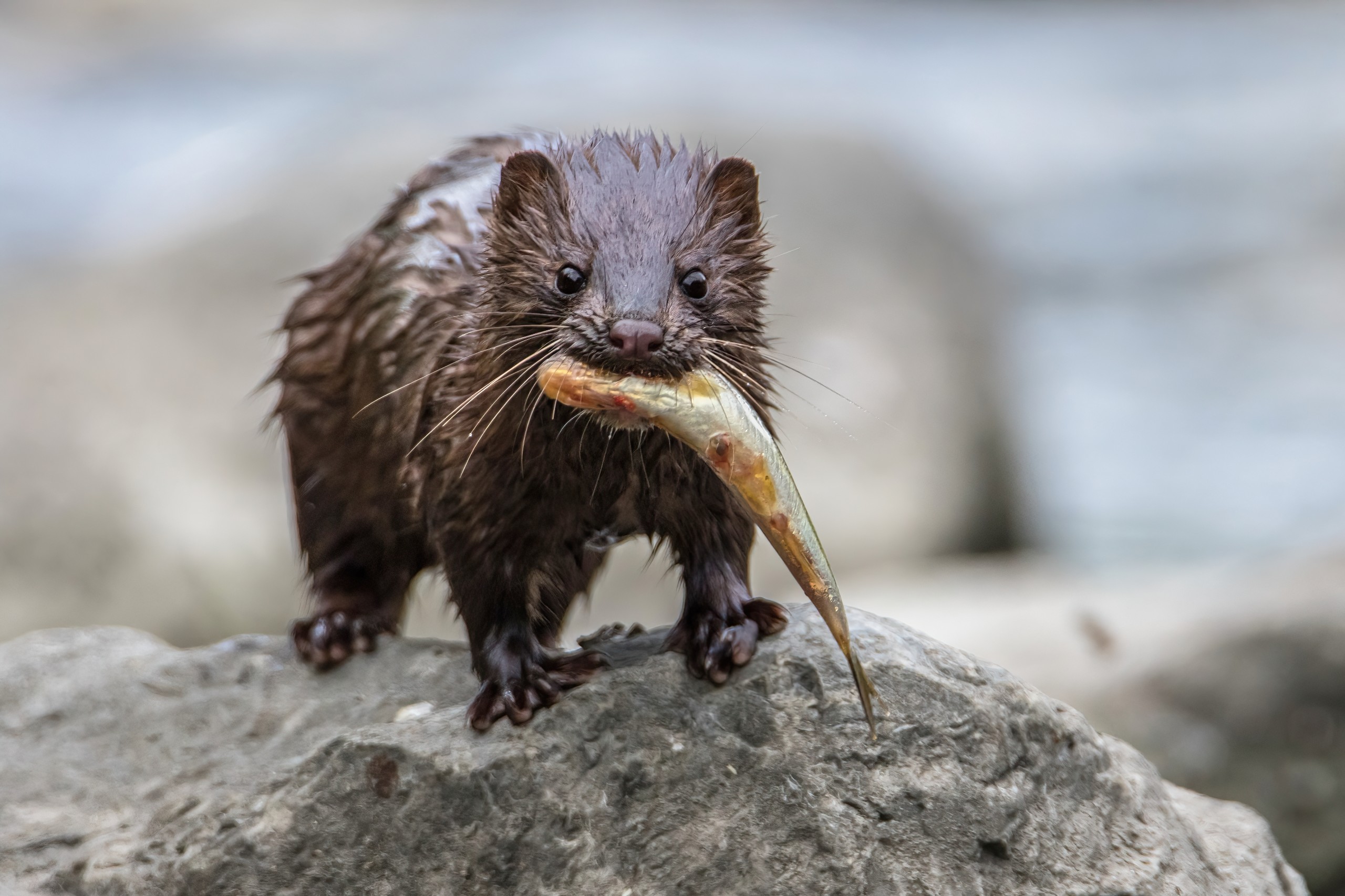 Tony LePrieur Photography/Shutterstock
