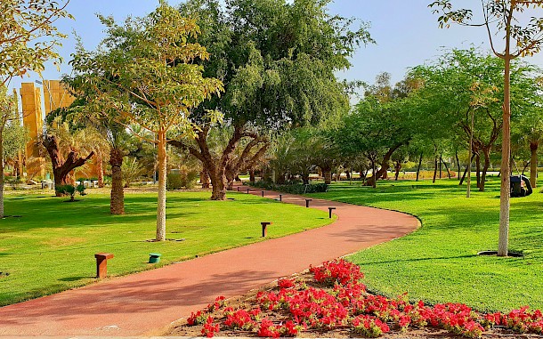 demesafrankc/Shutterstock