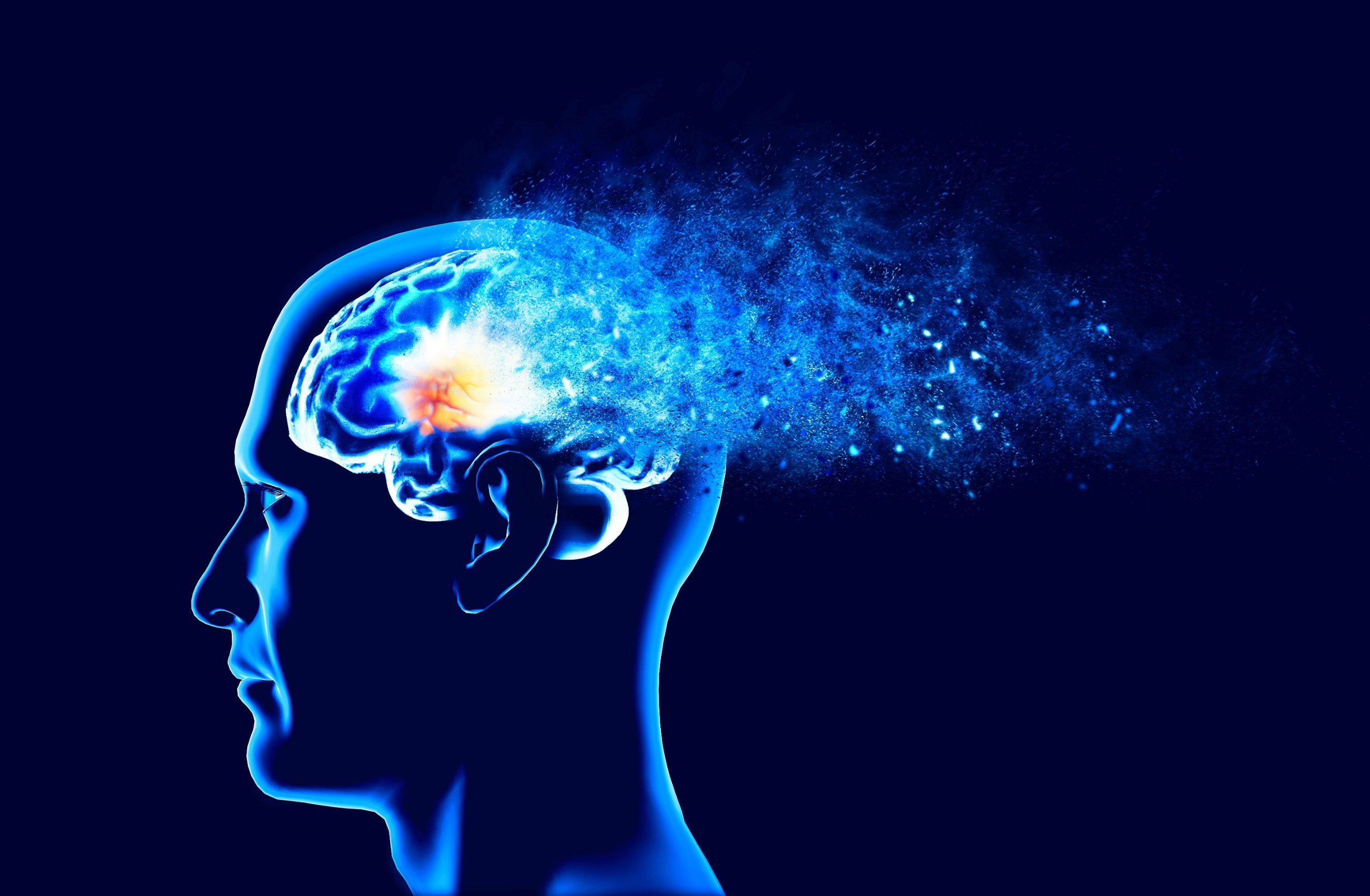 Naeblys/Shutterstock.com
