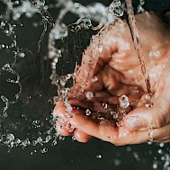 Nathan Dumlao/Unsplash