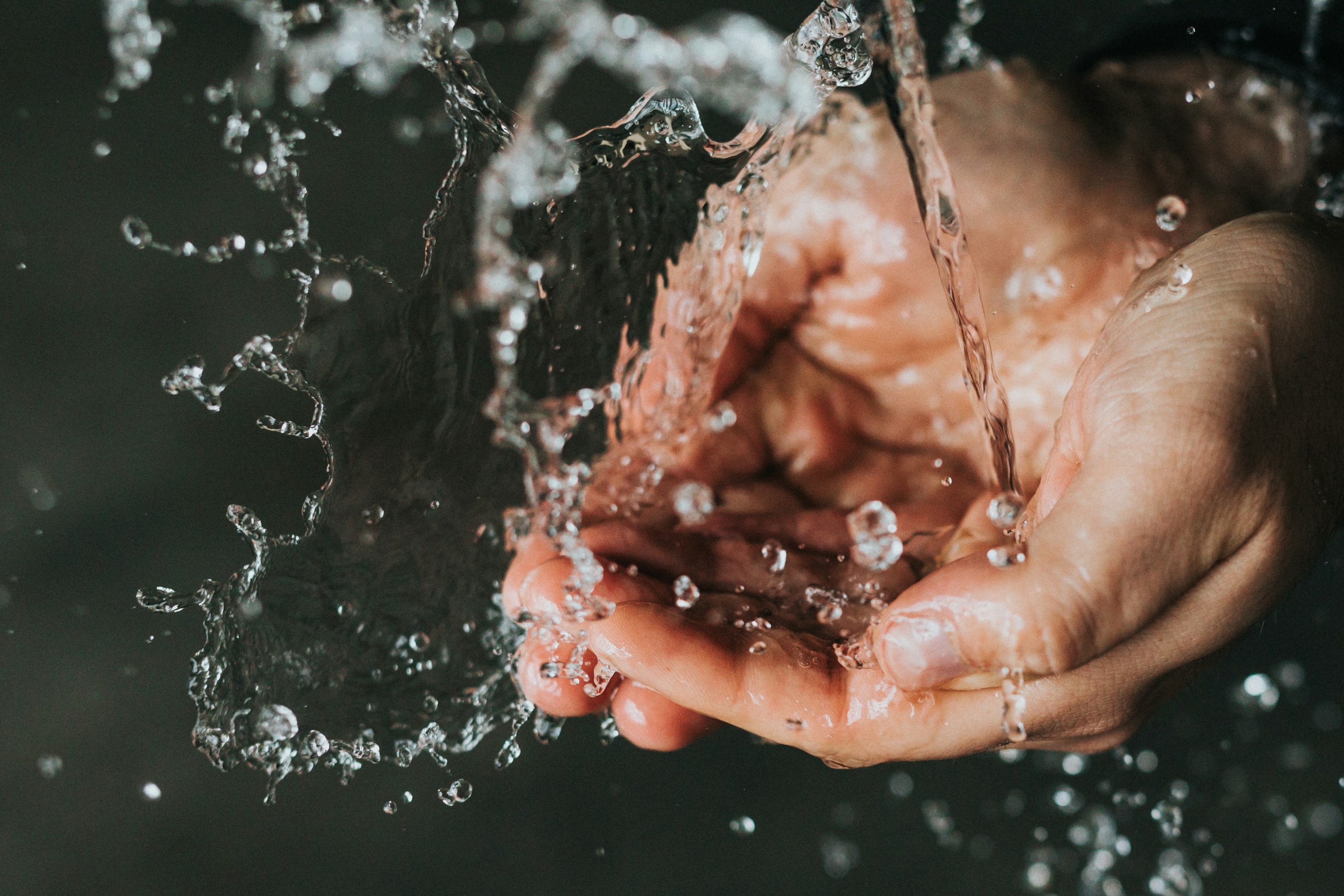 Nathan Dumlao/Unsplash