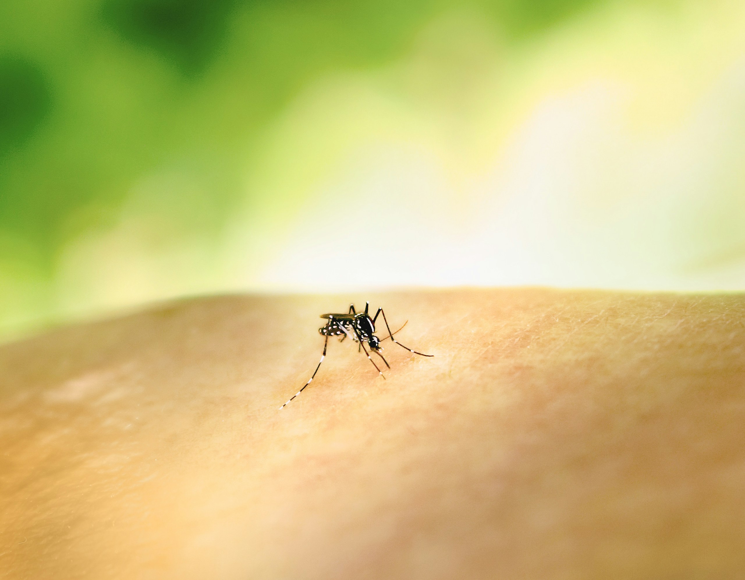 National Institute of Allergy and Infectious Diseases/Unsplash