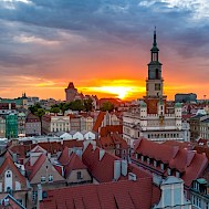 MKavalenkau/Shutterstock