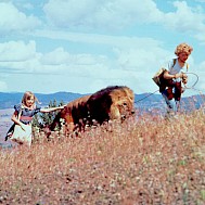 Walt Disney Productions