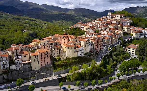 bezikus/SHutterstock