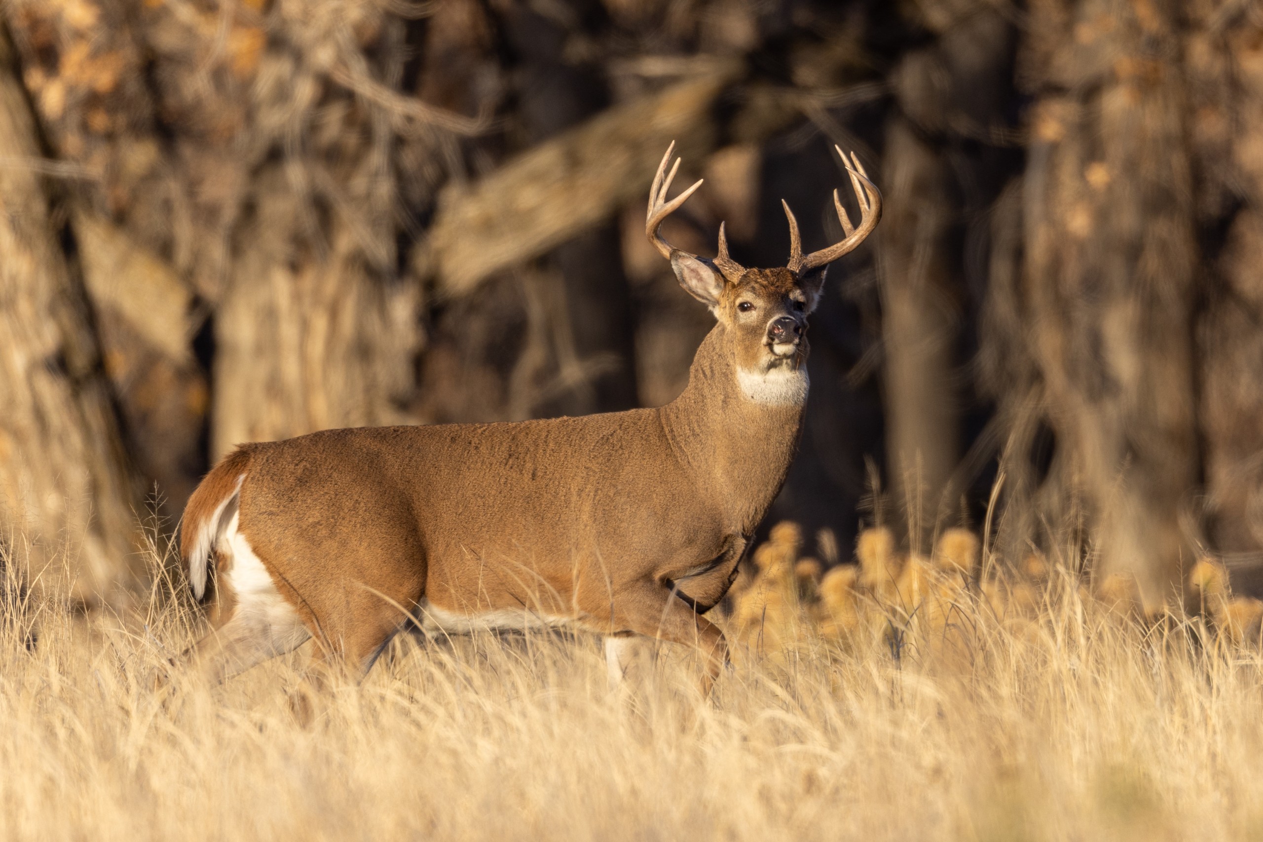 J Edwards Photography/Shutterstock