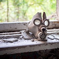 Roman Belogorodov/Shutterstock.com