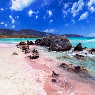 Patryk Kosmider/Shutterstock
