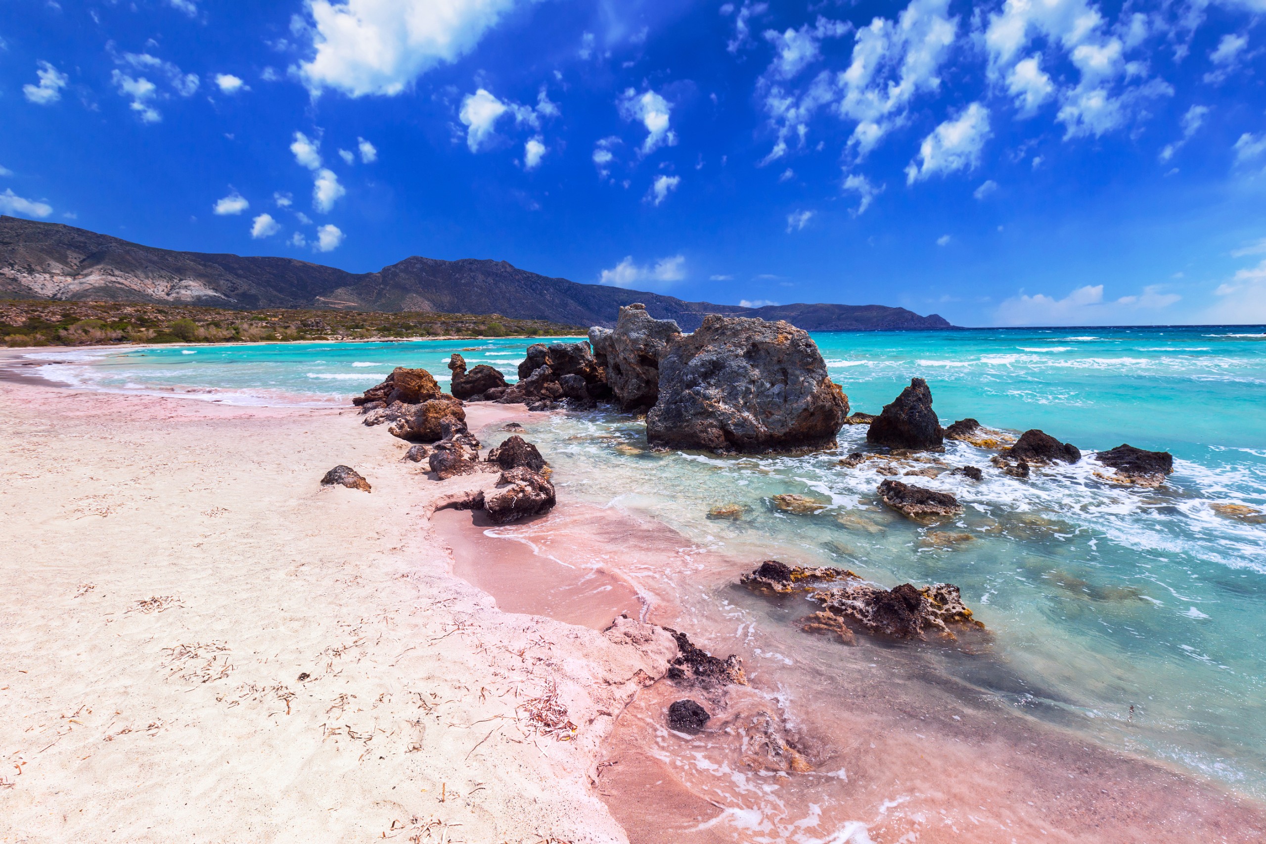 Patryk Kosmider/Shutterstock