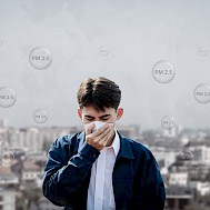 witsarut sakorn/Shutterstock