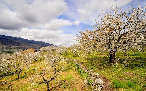 tolobalaguer.com/Shutterstock