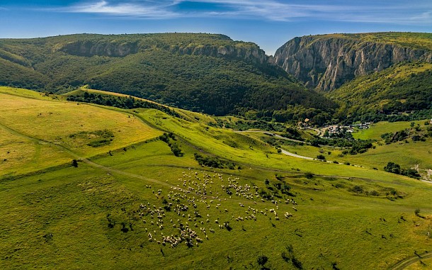 feelthedrone/Shutterstock