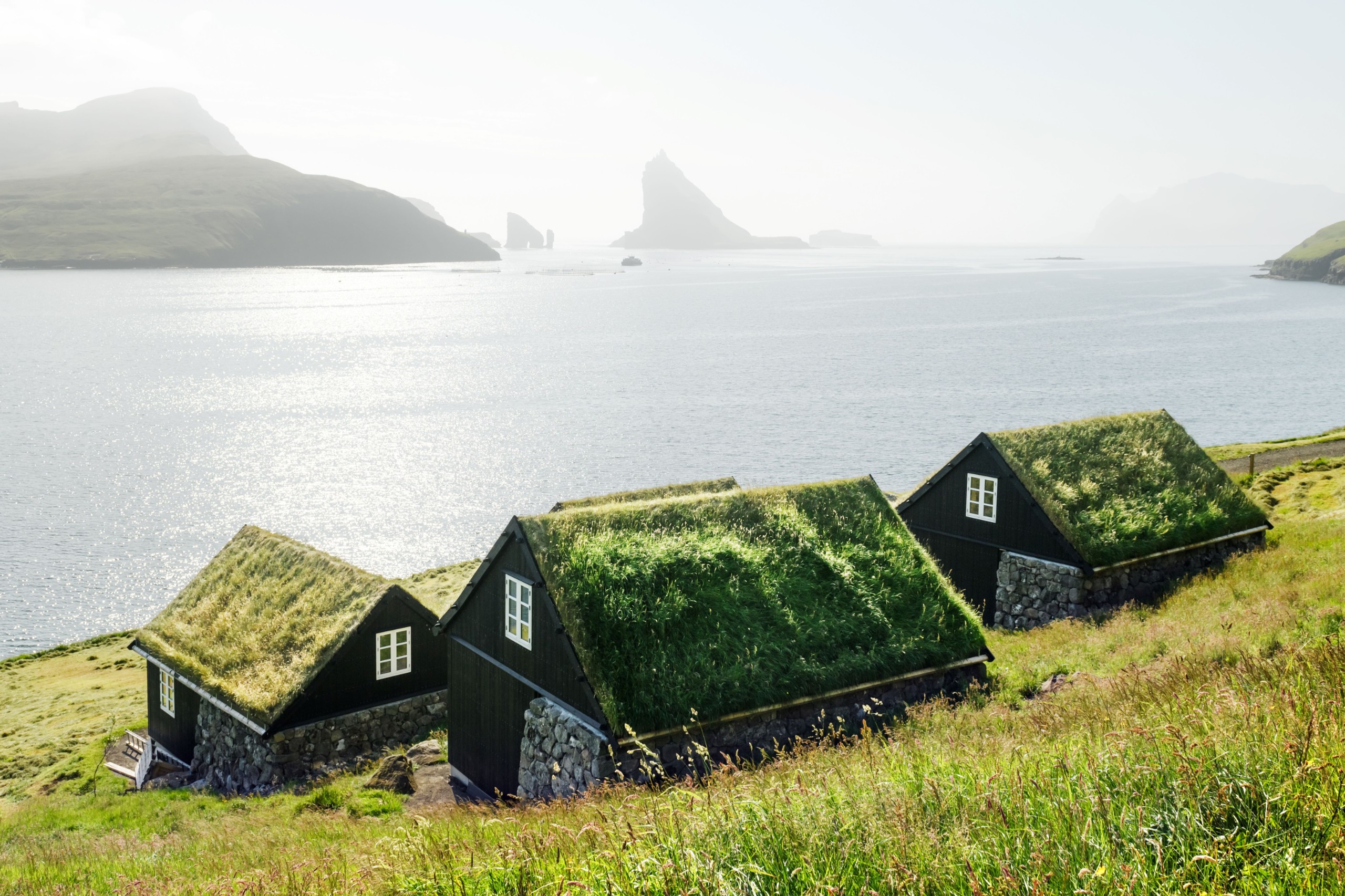 Smit/Shutterstock.com