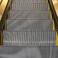 Tamp/Shutterstock