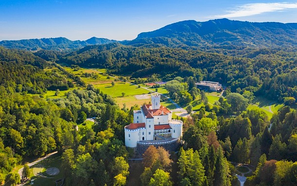 Ilija Ascic/Shutterstock
