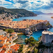 DaLiu/Shutterstock
