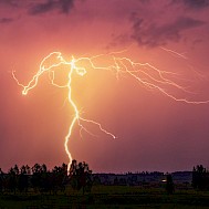 Lukas Jonaitis / Shutterstock