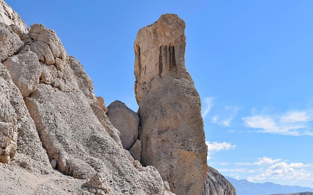 Ivica9/Shutterstock