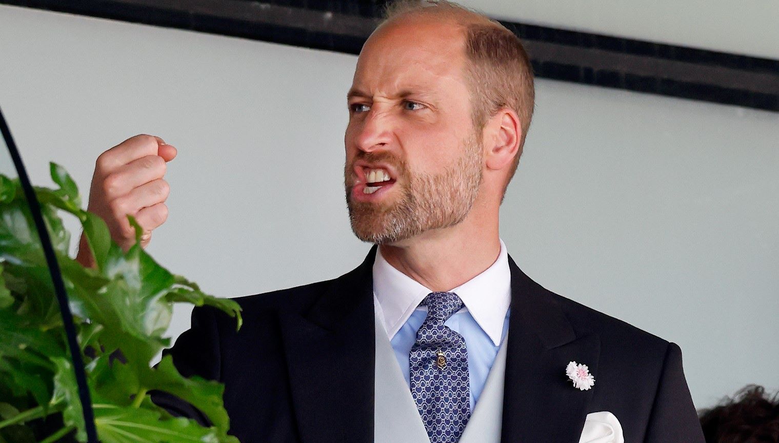 Max Mumby/Indigo/Getty Images
