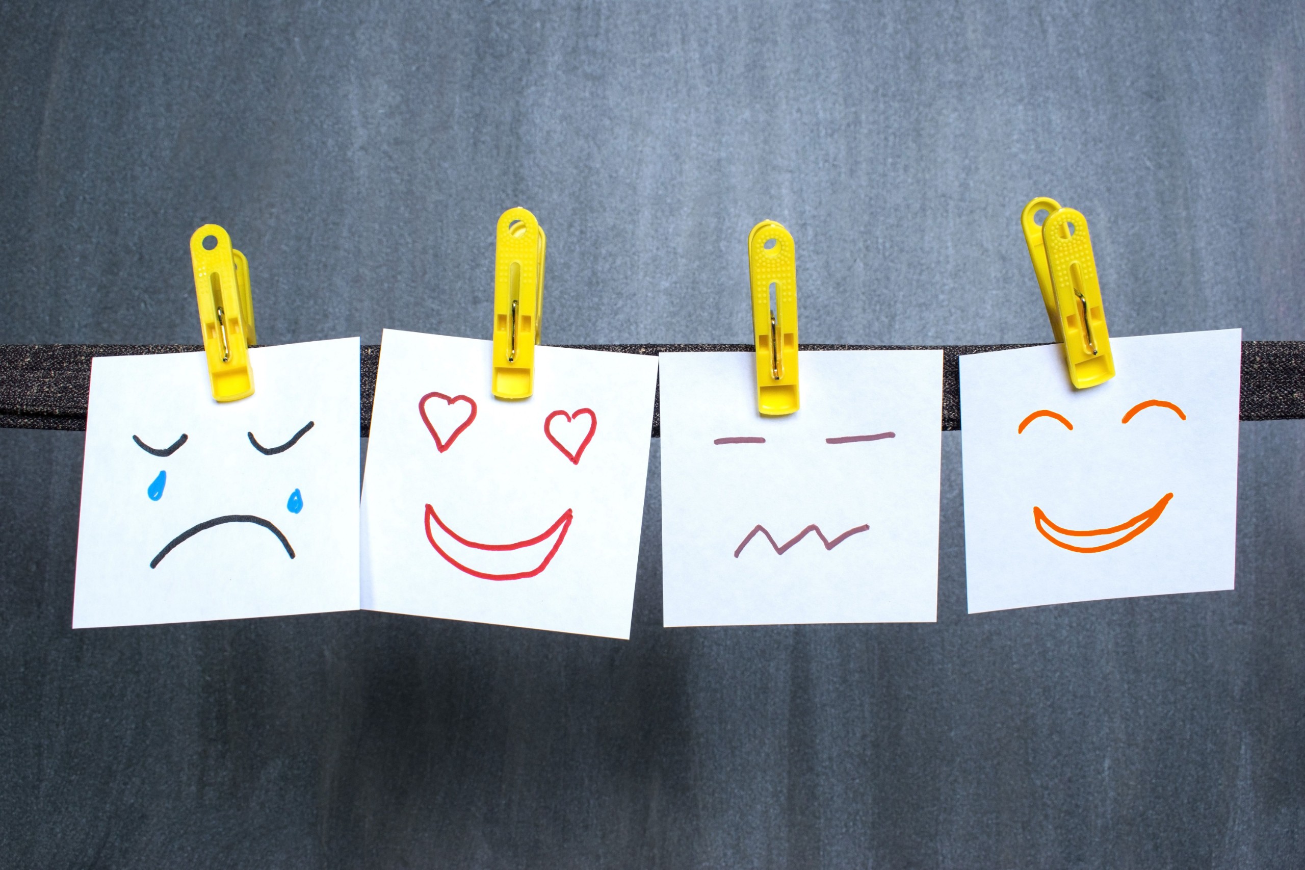favorita1987/Shutterstock.com
