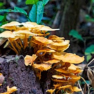 Nowaczyk/Shutterstock.com
