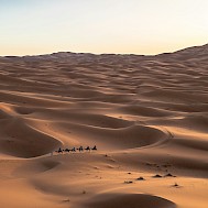 Jeff Jewiss/Unsplash