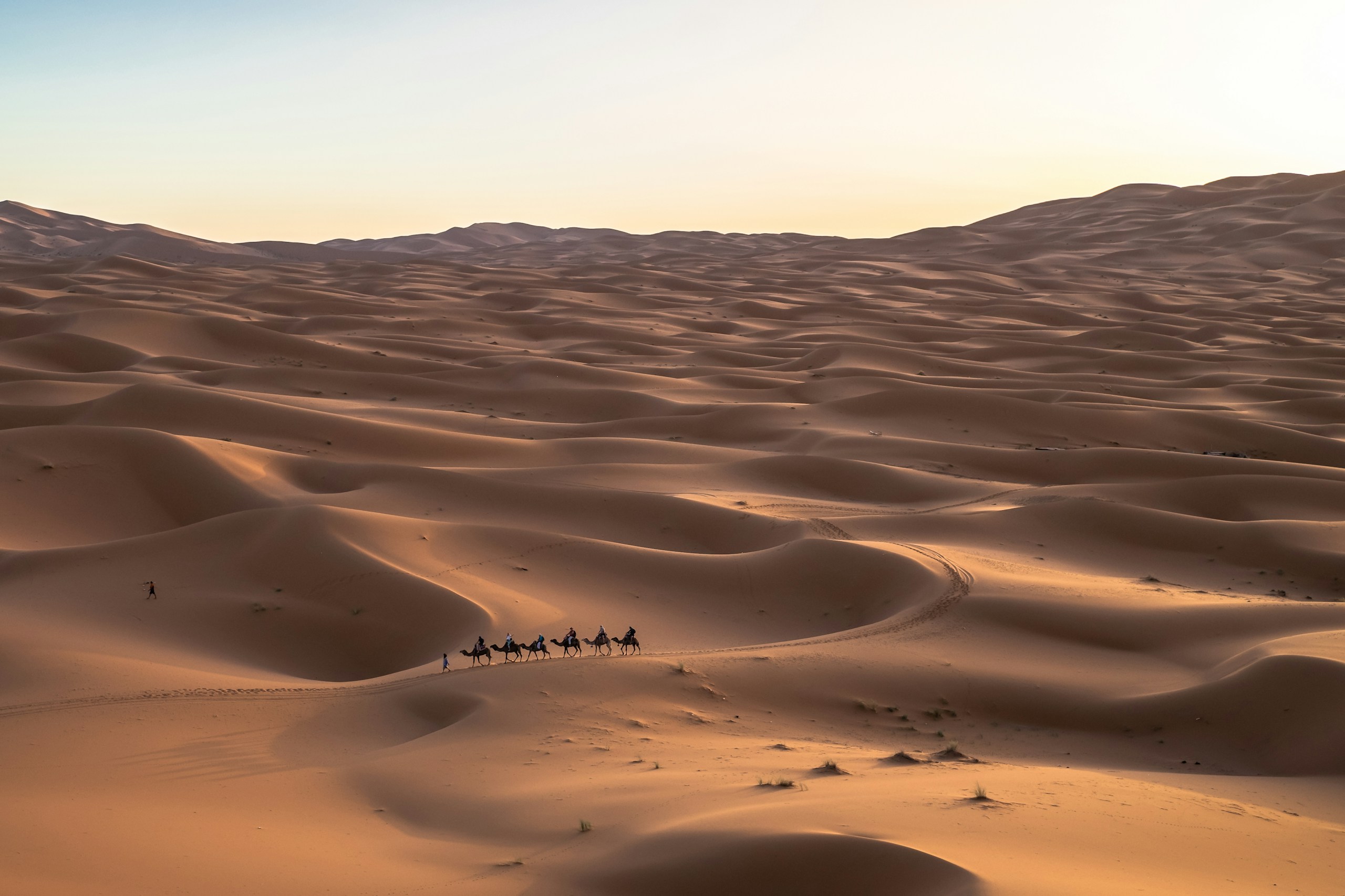 Jeff Jewiss/Unsplash
