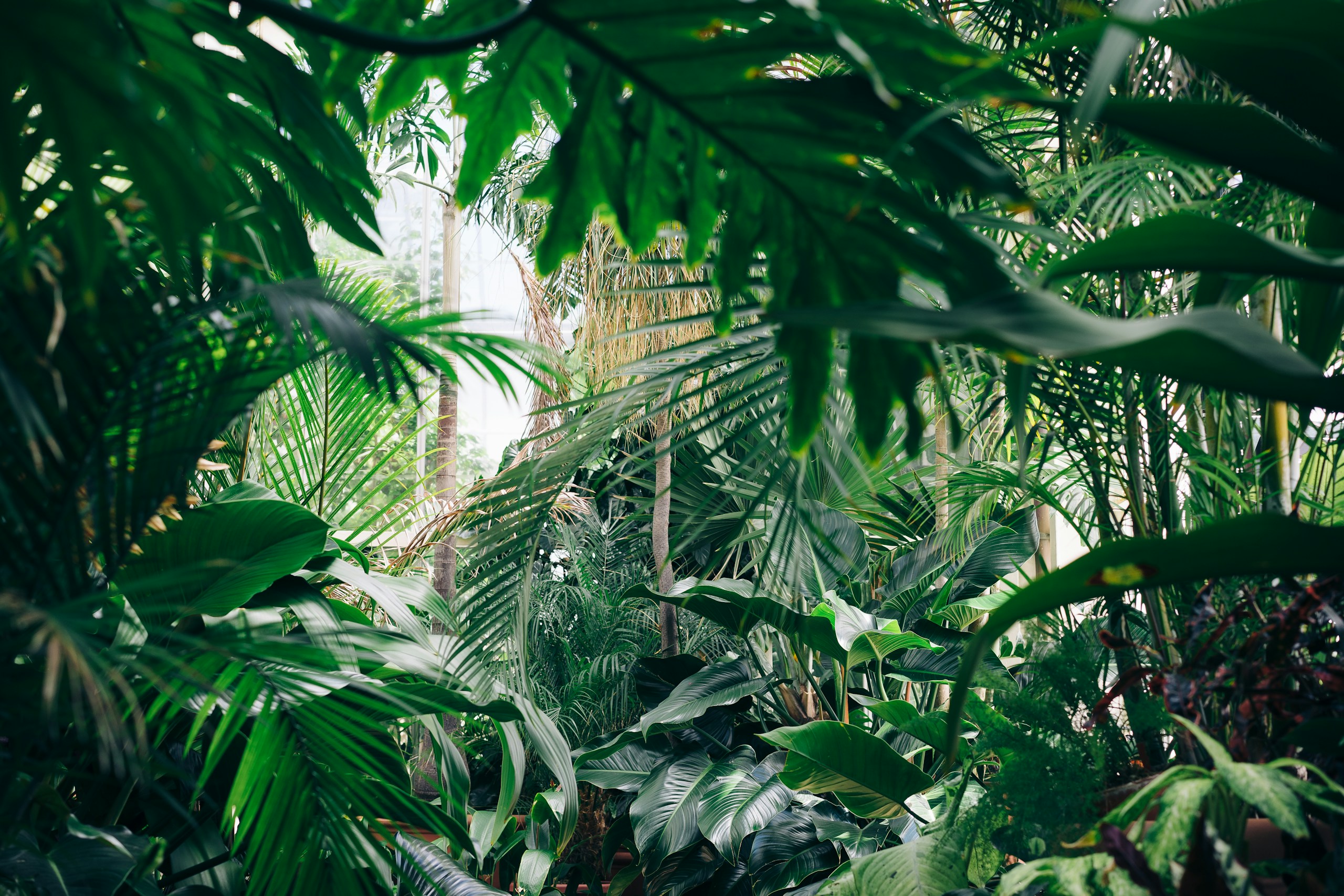 Chris Abney/Unsplash