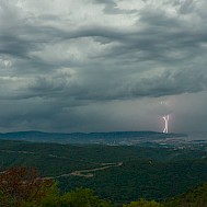 Menno van der Haven/Shutterstock.com