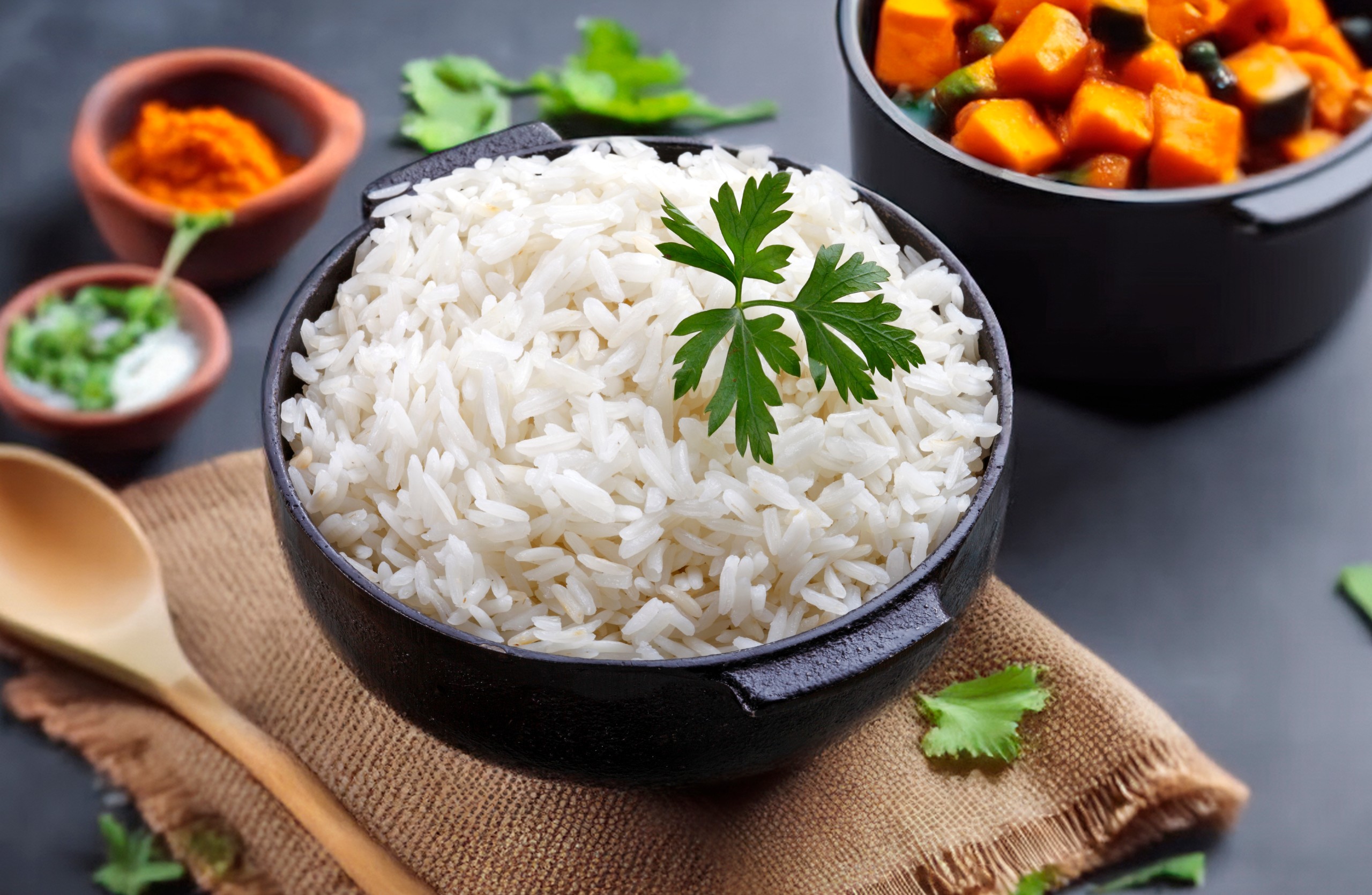 rocharibeiro/Shutterstock